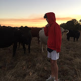 Noah.J