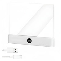 The Quiet Reader's Dream Light